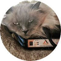 Gray cat with head resting on Loop Lounge controller box