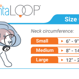 Size chart for the DentaLoop Bonnet. Small is for neck circumference 6 to 9 inches. Medium is for neck circumference 8 to 14 inches. Large is for circumference 12 to 21 inches.